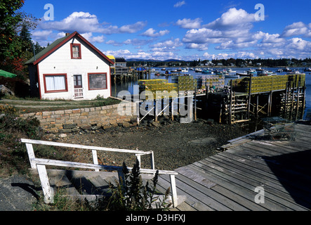 Elk282-1942 Maine, Bass Harbor, Mount Desert Island Angelsteg mit Hummerfallen Stockfoto