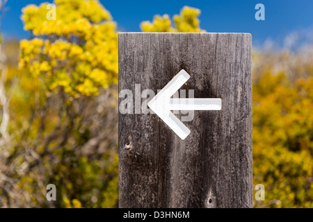 Pfeil Schilder außen weist uns den Weg auf einen Wanderweg Stockfoto