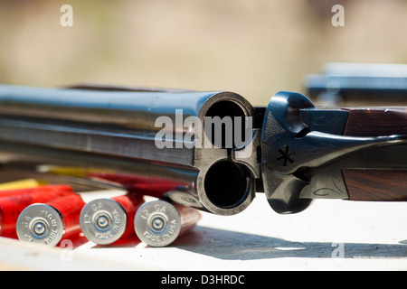 2012 jährliche Anpassung von Colorado shaketails Cowboy Action Shooting sass Club. Der schusswaffen verwendet werden, auf jene, die im 19. Jahrhundert American West besteht, d. h. Hebel Gewehr, Single Action Revolver, und Schrotflinte. Stockfoto