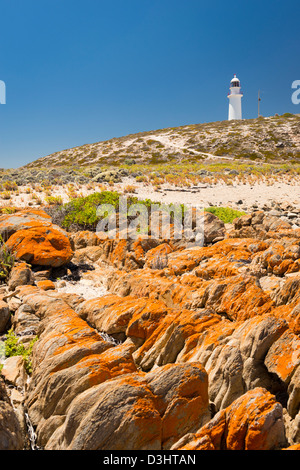 Gefährliche Felsen umgeben den Leuchtturm am Corny Point, South Australia. Stockfoto