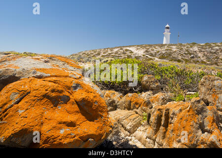 Gefährliche Felsen umgeben den Leuchtturm am Corny Point, South Australia. Stockfoto