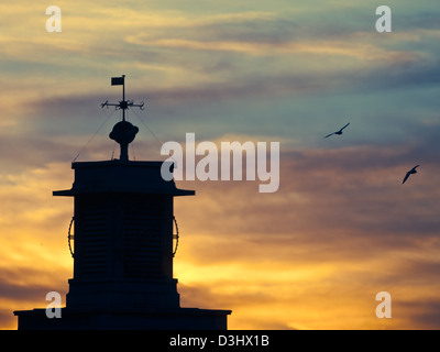 Ein goldenen Sonnenaufgang bricht über der Uhrturm des alten Rathauses Wallington, wie zwei Vögel auf die frühe Morgenwind gleiten. Stockfoto