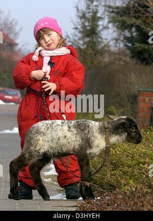 (Dpa) - Spaziergänge Jil Maila mit Orphant Lamm Pünktchen auf dem Bürgersteig in Ploetzenhoehe, Deutschland, 29. Februar 2004. Die Mutter von Pünktchen vorbei entfernt drei Wochen früher als sie, das kleine Lamm gebar. Jil Familie nahm das Orphant Tier als vollwertiges Mitglied. Stockfoto