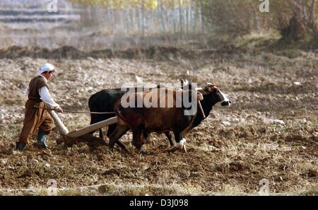 (Dpa) - ein Bauer pflügt ein Feld mit zwei Büffel in der Nähe von Kundus, Afghanistan, 25. November 2003. Die Region um Kundus ist relativ frei von Landminen, die Landwirte auf einen großen Teil ihrer Felder arbeiten ermöglicht. Kundus ist einer der vier afghanischen Provinzen, die von der deutschen Bundeswehr bewacht. Stockfoto