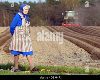 (Dpa) - während ihres Enkels Kartoffelacker mit einem Traktor ein älterer Bauer Pflügen ist der Frau dauert ein Spaziergang in der Sonne, in der Nähe von Badenstedt, Deutschland, 16. April 2004. Stockfoto