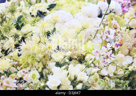 Blumen Hintergrund Stockfoto