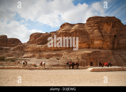 Petra, Jordanien Stockfoto