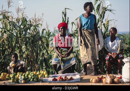 Drei Frauen auf dem Land verkaufen Obst und Gemüse am Straßenrand. Chokwe, Mosambik Stockfoto