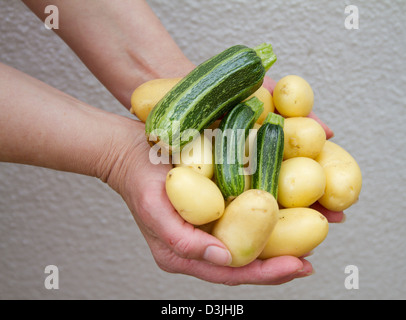 Frau mit einer Handvoll frisch geernteten homegrown Babykartoffeln und Zucchini Stockfoto