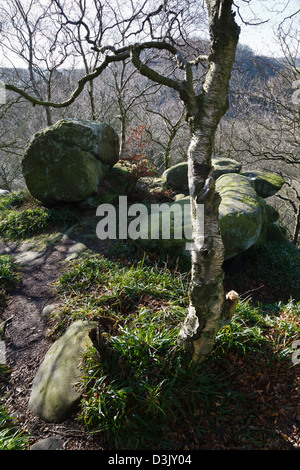 Rowtor Felsen, Birchover, Peak District National Park, Derbyshire, England Stockfoto