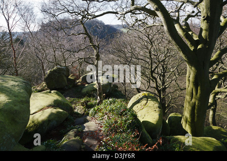 Rowtor Felsen, Birchover, Peak District National Park, Derbyshire, England Stockfoto