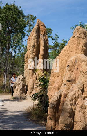 Eines der faszinierendsten Sehenswürdigkeiten in Litchfield NP sind die riesigen Termitenhügel, einige hoch aufragenden mehr als 4 m (13ft) NT Australien Stockfoto