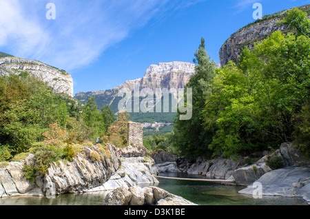 Ara am Flussufer in Torla, Ordesa & Monte Perdido Nationalpark, Pyrenäen, Huesca, Spanien Stockfoto