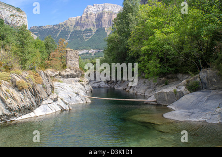 Ara am Flussufer in Torla, Ordesa & Monte Perdido Nationalpark, Pyrenäen, Huesca, Spanien Stockfoto