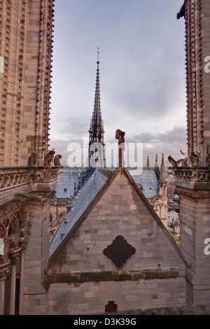 Auf der Suche über das Dach der Kathedrale Notre Dame de Paris. Stockfoto