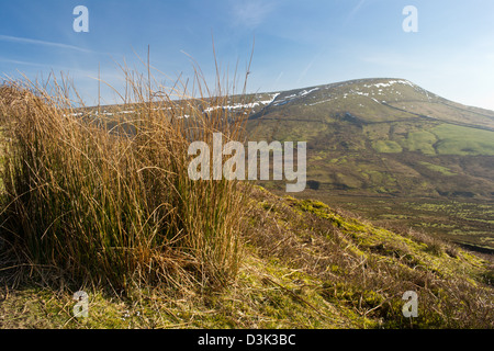 Landschaft rund um Fairsnape verliebte sich in den Wald von Bowland Stockfoto