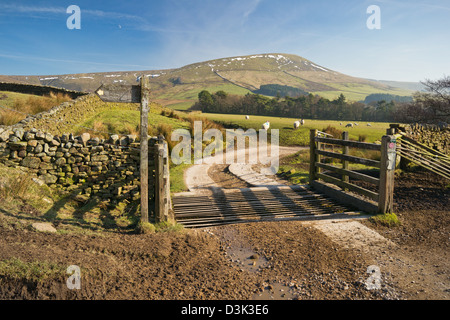 Landschaft rund um Fairsnape verliebte sich in den Wald von Bowland Stockfoto