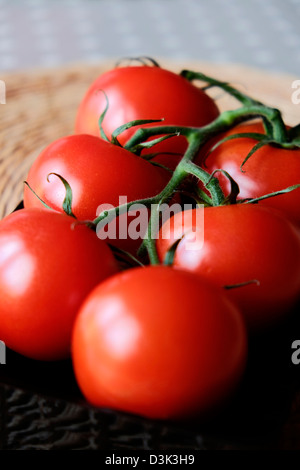 Nahaufnahme der Tomaten Stockfoto