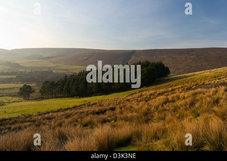 Landschaft rund um Fairsnape verliebte sich in den Wald von Bowland Stockfoto