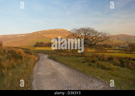 Landschaft rund um Fairsnape verliebte sich in den Wald von Bowland Stockfoto