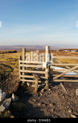 Landschaft rund um Fairsnape verliebte sich in den Wald von Bowland Stockfoto