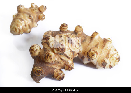 Topinambur auf weißem Hintergrund Stockfoto