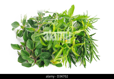 verschiedene frische Kräuter auf weißem Hintergrund Stockfoto