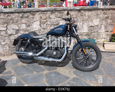 Harley Davidson bei einer show Stockfoto