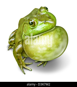 Frosch mit einem aufgeblasenen Kehle als eine grüne Amphibie als natürliche Symbol für Tierschutz und Umweltbildung für ein gesundes Frischwasser Ökosystem zu kommunizieren. Stockfoto