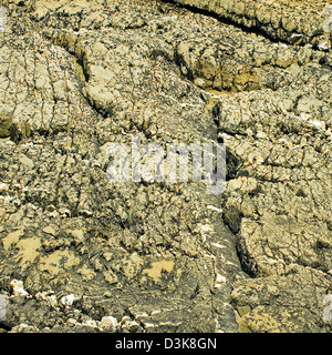 Felsen und Klippen Gesichter mit eine abwechslungsreiche Geologie im Marloes Sands beach Pembrokeshire Coast Nationalpark im Spätsommer South West Wa Stockfoto