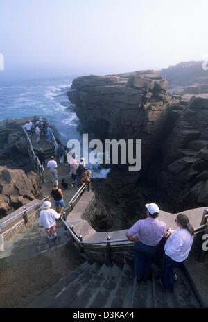 Elk282-2076v Maine, Mount Desert Island Acadia Nationalpark, Park Loop Road, East Shore Thunder Hole Stockfoto