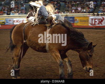 Cowboy bucking Bronco reiten während die National Finals Rodeo in Oklahoma City, Oklahoma, USA Stockfoto