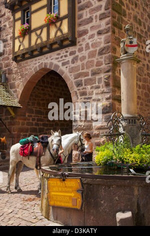 Frau mit Reitpferden an öffentlichen Brunnen in Riquewihr, entlang der Route des Vins (Weinstraße), Elsass-Frankreich Stockfoto