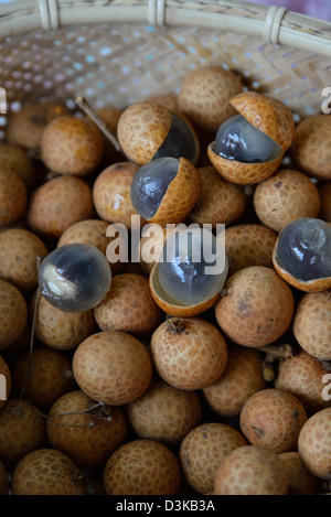 Frische Früchte des Longan-Baumes Dimocarpus Longan, bekannt als Drachenauge und Katzenauge in einem Korb, der einige mit Schalen und andere geöffnet zeigt, Porträt Stockfoto