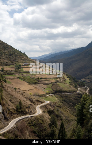 Blick auf Wald, Reisterrassen und Black Mountain Range von Aussichtspunkt in der Nähe von Nobding, Bhutan, Asien Stockfoto