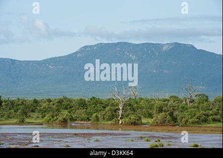 VOI-Fluss bei Hochwasser vor Taita Hills, Tsavo East Nationalpark, Kenia Stockfoto