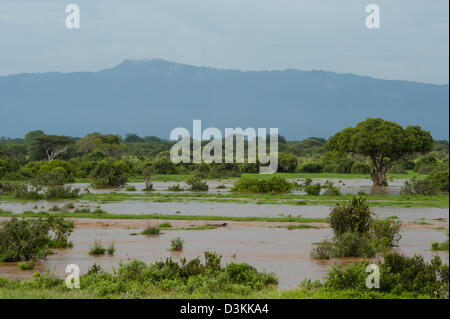 VOI-Fluss bei Hochwasser vor Taita Hills, Tsavo East Nationalpark, Kenia Stockfoto