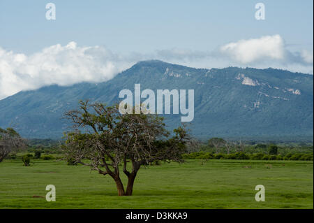 Kanderi Swamp vor Taita Hills, Tsavo East Nationalpark, Kenia Stockfoto