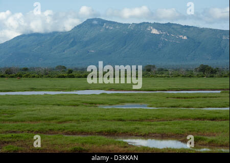 Kanderi Swamp vor Taita Hills, Tsavo East Nationalpark, Kenia Stockfoto