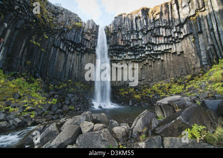 Schöne Svartifoss Wasserfall, Nationalpark Skaftafell, Süden Islands Stockfoto