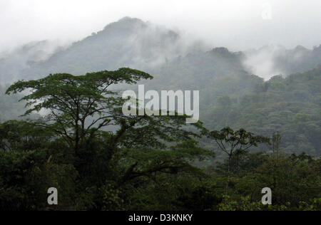 (Dpa) - ein Blick über die Baumkronen des Regenwaldes am Hang des Vulkans Mount Arenal in Costa Rica, 23. Februar 2005. Foto: Rolf Haid Stockfoto