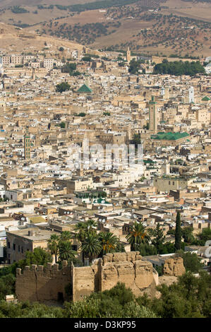 Blick hinunter auf die alte Medina aus dem Borj Sud Fort, Fes, Marokko Stockfoto