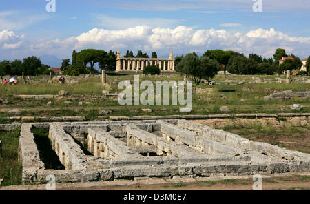 (Dpa) - das Bild zeigt die Ruinen von Ceres-Tempel dating Ende des 6. Jahrhunderts v. Chr. in Paestum in Kampanien, Italien, 13. September 2005. Der Tempel der Göttin Athene geweiht wurde / Minerva. Foto: Matthias Schrader Stockfoto