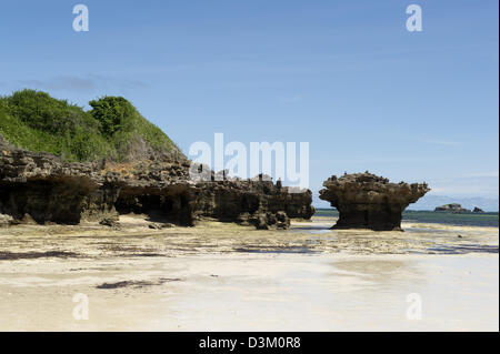 Koralle Outrcrop, Turtle Bay, Watamu, Kenia Stockfoto