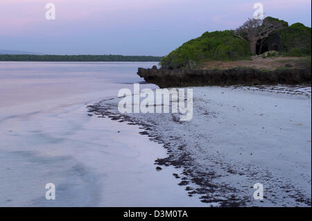 Koralle Felsen in Turtle Bay, Watamu, Kenia Stockfoto