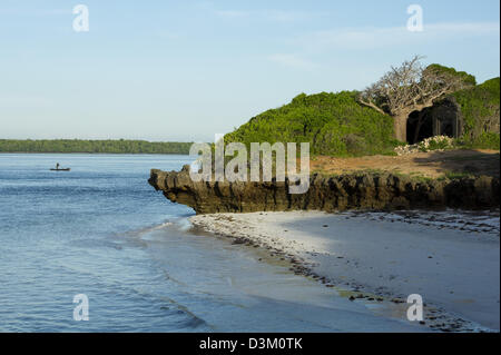 Koralle Felsen in Turtle Bay, Watamu, Kenia Stockfoto