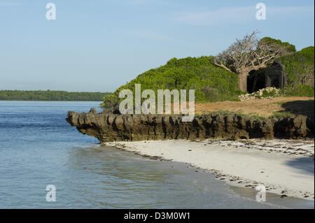 Koralle Felsen in Turtle Bay, Watamu, Kenia Stockfoto