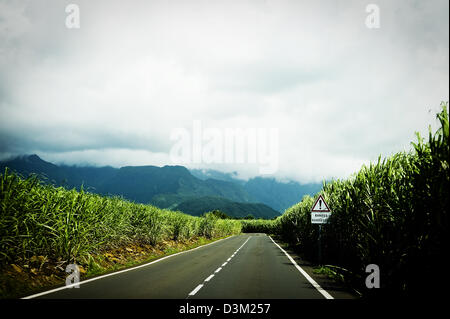 Ansicht der Straße hinunter aus Takamaka Sicht im östlichen Teil der Insel La Réunion, Französisch Übersee-Departement, Indischer Ozean Stockfoto