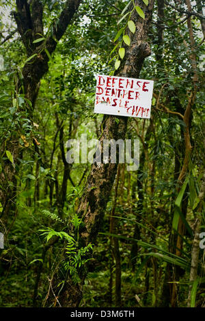 "Verteidigung D'entrer Dans Le Champ", Eintritt ins Feld verboten, Jardin Des Parfums et Epices, St. Philippe, französische Insel La Réunion Stockfoto