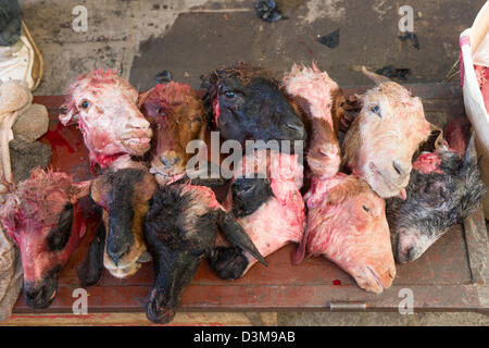 Abgetrennte Ziegen Köpfe zum Verkauf in der Medina, Fes, Marokko Stockfoto